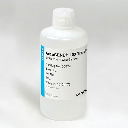 AccuGENE® 10X Tris-Glycine