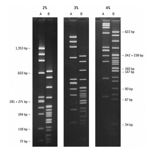 NuSieve® GTG® Agarose